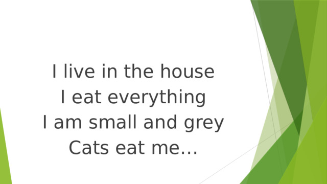 I live in the house I eat everything I am small and grey Cats eat me… 