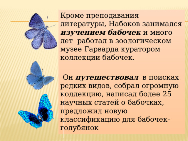 Изучение бабочек. Кто изучает бабочек. Цель проекта при изучении бабочек. День изучения бабочки