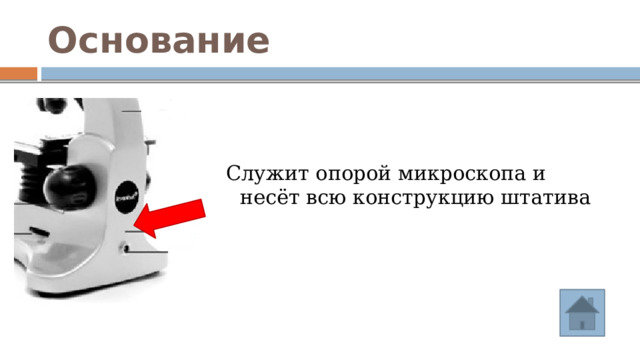 Основание Служит опорой микроскопа и несёт всю конструкцию штатива 