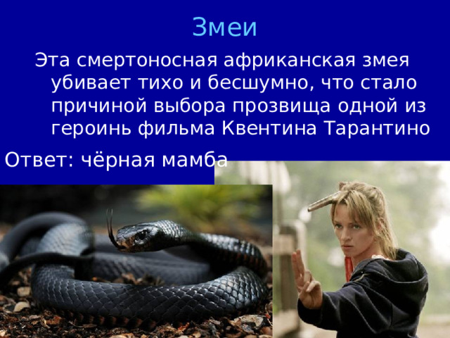 Змеи Эта смертоносная африканская змея убивает тихо и бесшумно, что стало причиной выбора прозвища одной из героинь фильма Квентина Тарантино Ответ: чёрная мамба 