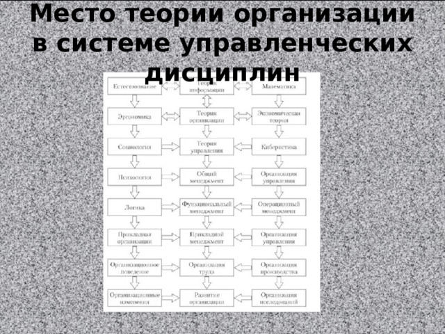 Место теории организации в системе управленческих дисциплин 