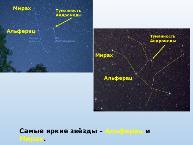 Мирах Туманность Андромеды Альферац Туманность Андромеды Мирах Альферац Самые яркие звёзды – Альферац и Мирах . 