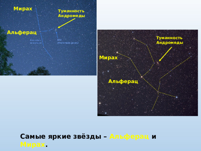 Дневные звезды презентация