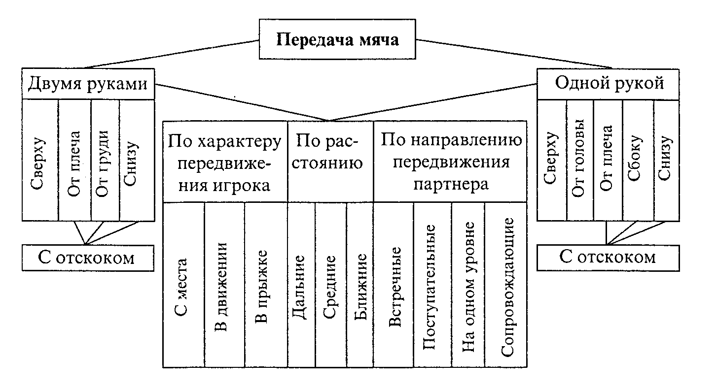 Баскетбол. Передача мяча.