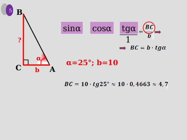 5 B tgα cosα sinα 1 ? α α=25°; b=10 C A b 