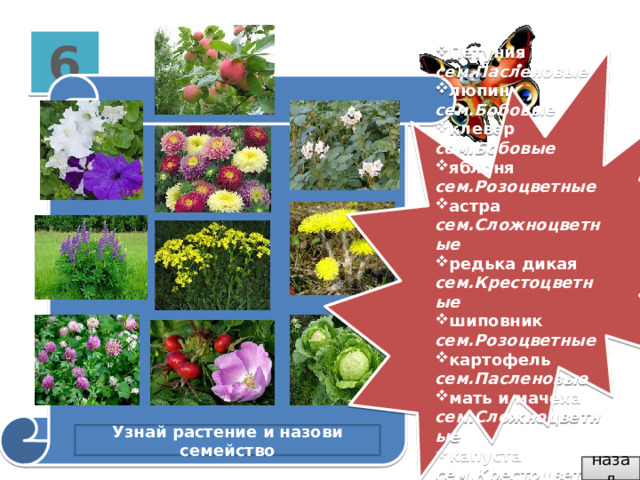 Распределите растения по сообществам. Розоцветные проверочная работа. Игра собирать букеты цветов. Тестовые работы по семейству растений 7 кл. Кроссворд по семейству розоцветных