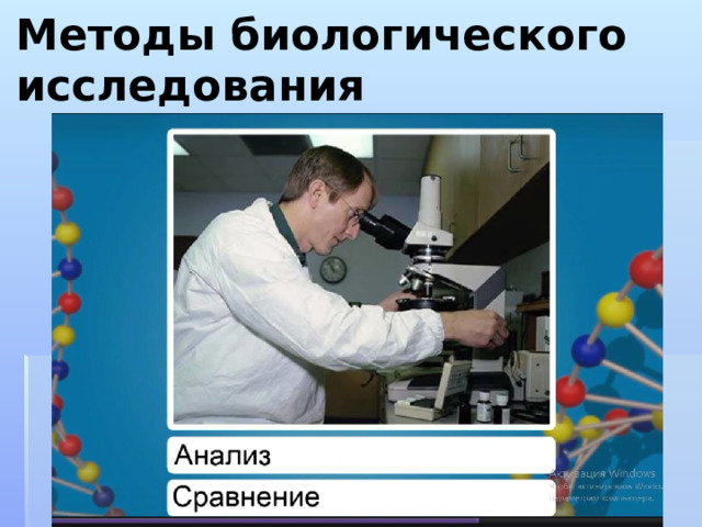 Современные технологии биологии. Методы биологических исследований. Методы биологии картинки. Методы биологического познания 9 класс. Методы биологических исследований горох.