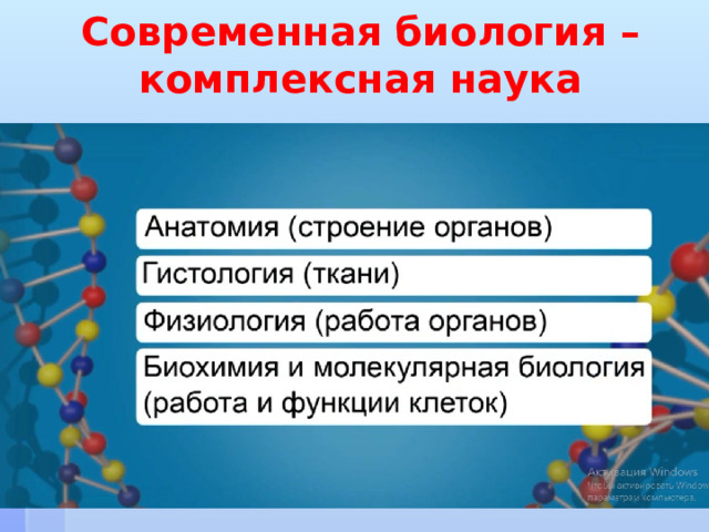 Проекты на уроках биологии