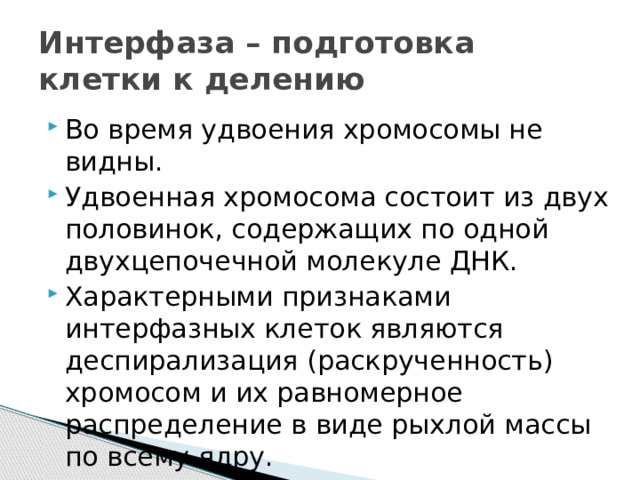 Интерфаза – подготовка клетки к делению Во время удвоения хромосомы не видны. Удвоенная хромосома состоит из двух половинок, содержащих по одной двухцепочечной молекуле ДНК. Характерными признаками интерфазных клеток являются деспирализация (раскрученность) хромосом и их равномерное распределение в виде рыхлой массы по всему ядру. 