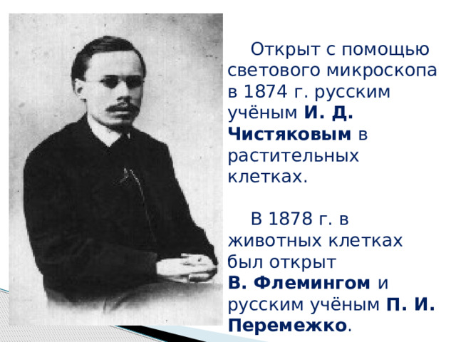 Открыт с помощью светового микроскопа в 1874 г. русским учёным И. Д. Чистяковым в растительных клетках. В 1878 г. в животных клетках был открыт В. Флемингом и русским учёным П. И. Перемежко . 