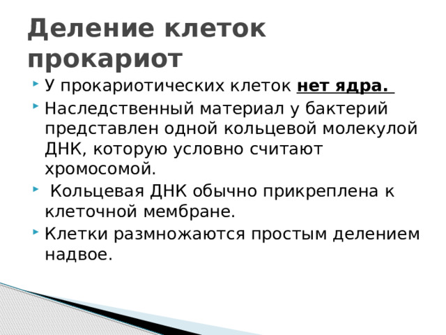 Деление клеток прокариот У прокариотических клеток нет ядра. Наследственный материал у бактерий представлен одной кольцевой молекулой ДНК, которую условно считают хромосомой.  Кольцевая ДНК обычно прикреплена к клеточной мембране. Клетки размножаются простым делением надвое. 