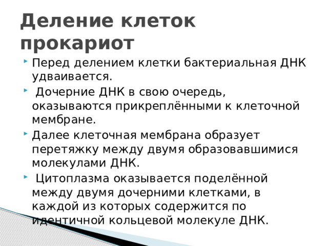 Деление клеток прокариот Перед делением клетки бактериальная ДНК удваивается.  Дочерние ДНК в свою очередь, оказываются прикреплёнными к клеточной мембране. Далее клеточная мембрана образует перетяжку между двумя образовавшимися молекулами ДНК.  Цитоплазма оказывается поделённой между двумя дочерними клетками, в каждой из которых содержится по идентичной кольцевой молекуле ДНК. 