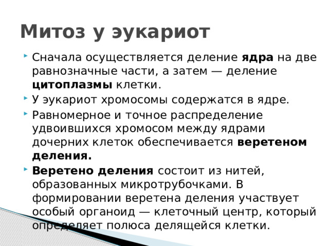 Митоз у эукариот Сначала осуществляется деление ядра на две равнозначные части, а затем — деление цитоплазмы клетки. У эукариот хромосомы содержатся в ядре. Равномерное и точное распределение удвоившихся хромосом между ядрами дочерних клеток обеспечивается веретеном деления. Веретено деления состоит из нитей, образованных микротрубочками. В формировании веретена деления участвует особый органоид — клеточный центр, который определяет полюса делящейся клетки. 