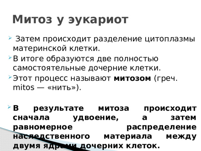 Митоз у эукариот   Затем происходит разделение цитоплазмы материнской клетки. В итоге образуются две полностью самостоятельные дочерние клетки. Этот процесс называют митозом (греч. mitos — «нить»). В результате митоза происходит сначала удвоение, а затем равномерное распределение наследственного материала между двумя ядрами дочерних клеток. 