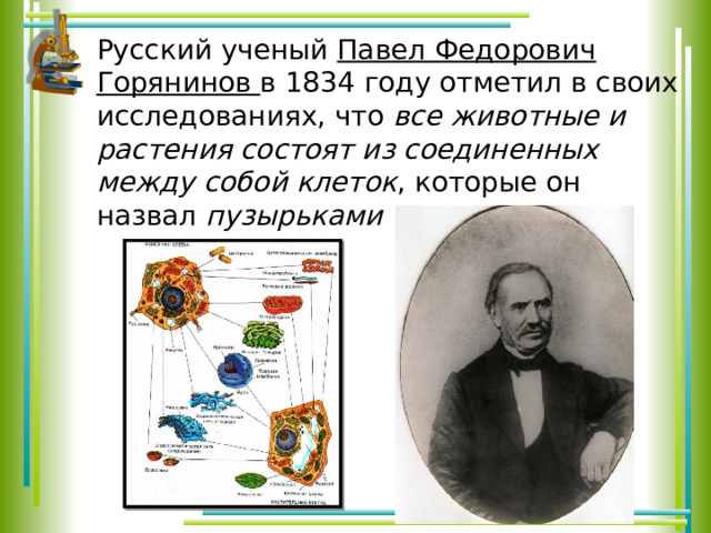 Маленькая презентация по биологии