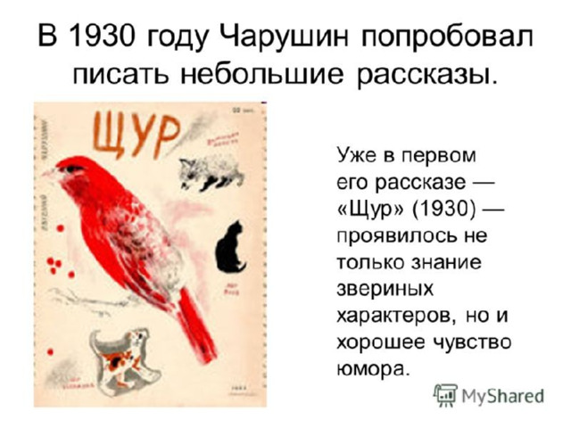 Проект по чарушину