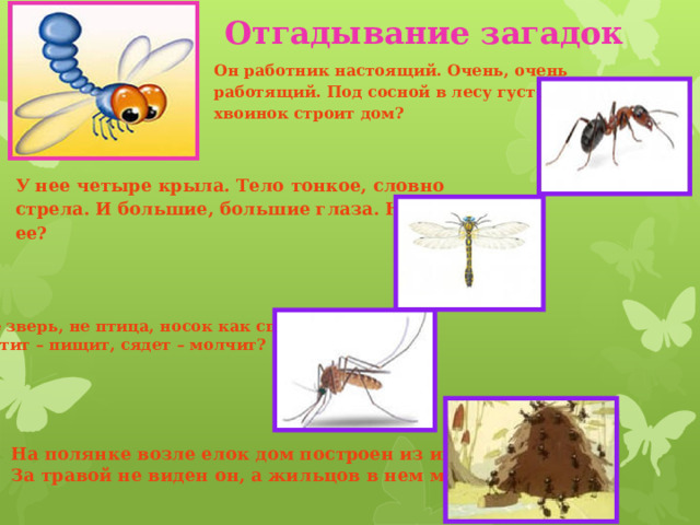 Отгадывание загадок Он работник настоящий. Очень, очень работящий. Под сосной в лесу густом. Из хвоинок строит дом? У нее четыре крыла. Тело тонкое, словно стрела.  И большие, большие глаза.  Называют ее? Не зверь, не птица, носок как спица.  Летит – пищит, сядет – молчит? На полянке возле елок дом построен из иголок. За травой не виден он, а жильцов в нем миллион? 