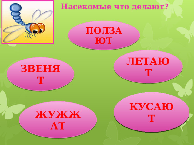 Насекомые что делают? ПОЛЗАЮТ ЛЕТАЮТ ЗВЕНЯТ КУСАЮТ ЖУЖЖАТ 