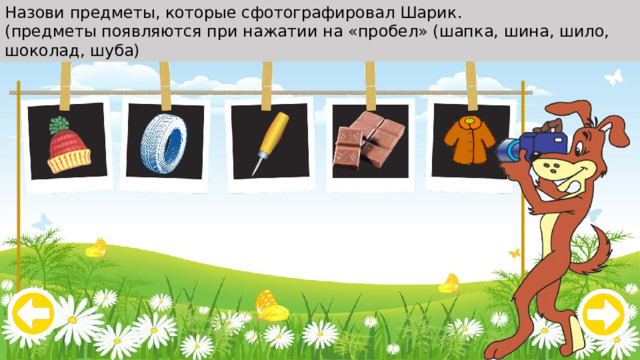 Назови предметы, которые сфотографировал Шарик. (предметы появляются при нажатии на «пробел» (шапка, шина, шило, шоколад, шуба) 