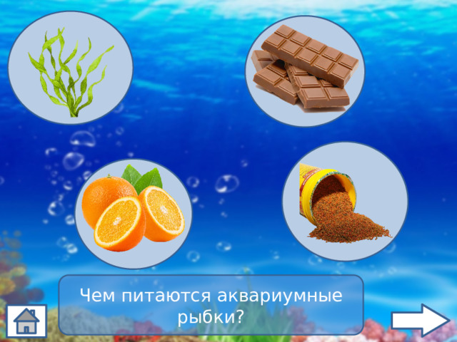 Чем питаются аквариумные рыбки? 