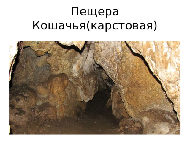 Пещера Кошачья(карстовая) 