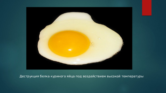 Деструкция белка куриного яйца под воздействием высокой температуры 