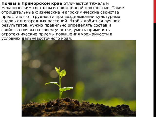 Почвы в Приморском крае отличаются тяжелым механическим составом и повышенной плотностью. Такие отрицательные физические и агрохимические свойства представляют трудности при возделывании культурных садовых и огородных растений. Чтобы добиться лучших результатов, нужно правильно определять состав и свойства почвы на своем участке, уметь применять агротехнические приемы повышения урожайности в условиях дальневосточного края. 