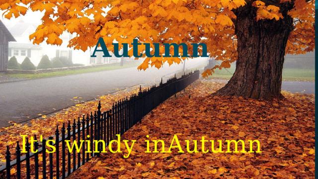 Autumn It's windy inAutumn 