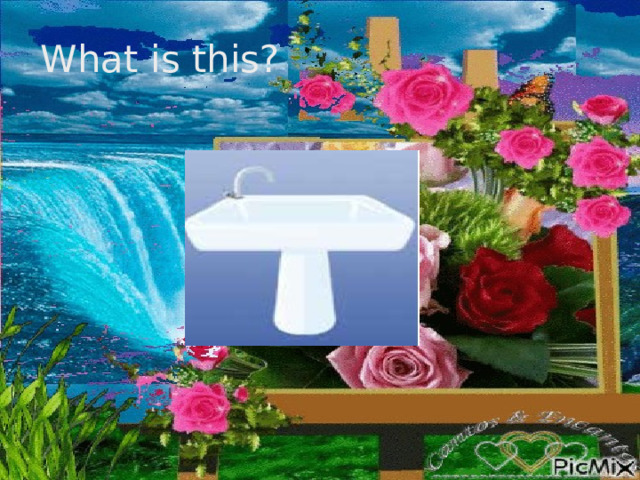 What is this? 