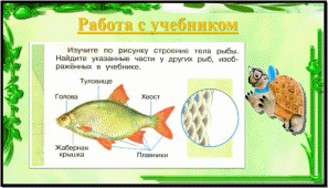 Технологическая карта урока в малокомплектной школе по окружающему миру