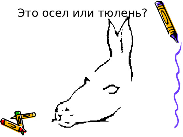 Это осел или тюлень? 