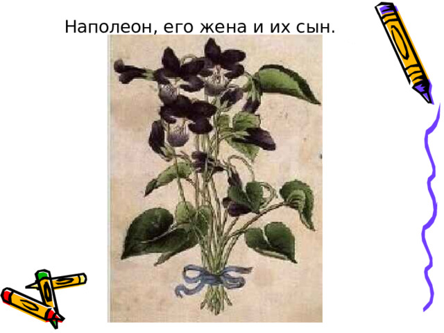Наполеон, его жена и их сын. 
