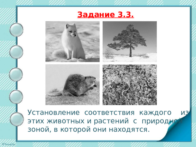  Задание 3.2.   Запиши название каждого из этих животных и растений рядом с номером фотографии, на которой оно изображено. 