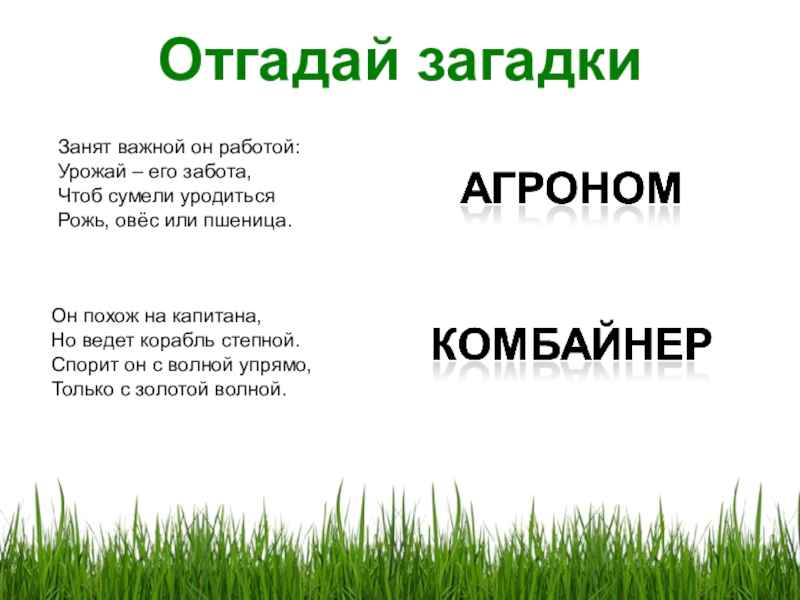 Загадки про поле