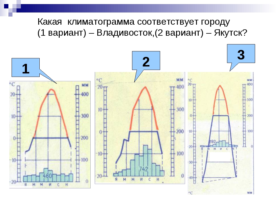 Климатограммы соответствующие каждому климатическому поясу. Климатограммы России. Владивосток клитограмма. Климатограммы городов. Климатограммы российских городов.