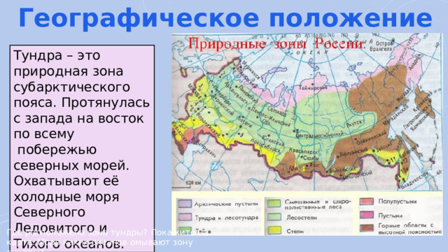 Зона тундр располагается на севере россии. Географическое положение зоны тундры. Зона тундры на карте России. Зона тундры протянулась. Природные зоны субарктического пояса.