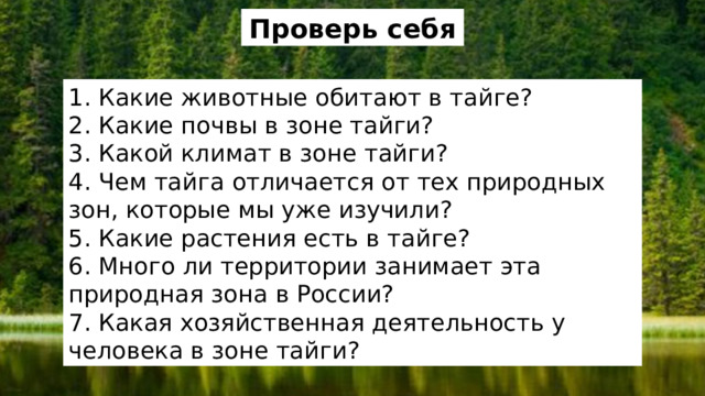 Проверь себя 1. Какие животные обитают в тайге? 2. Какие почвы в зоне тайги? 3. Какой климат в зоне тайги? 4. Чем тайга отличается от тех природных зон, которые мы уже изучили? 5. Какие растения есть в тайге? 6. Много ли территории занимает эта природная зона в России? 7. Какая хозяйственная деятельность у человека в зоне тайги? 