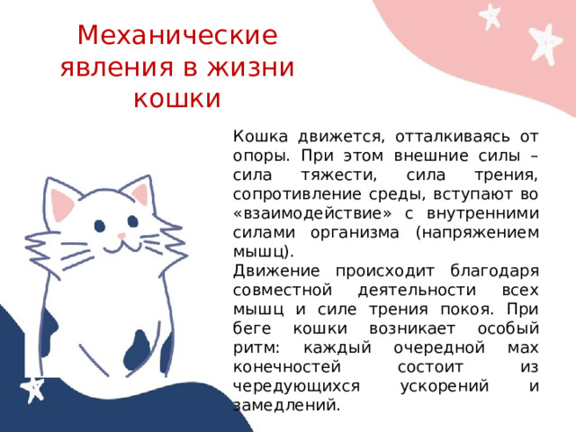 Механические явления в жизни кошки Кошка движется, отталкиваясь от опоры. При этом внешние силы – сила тяжести, сила трения, сопротивление среды, вступают во «взаимодействие» с внутренними силами организма (напряжением мышц). Движение происходит благодаря совместной деятельности всех мышц и силе трения покоя. При беге кошки возникает особый ритм: каждый очередной мах конечностей состоит из чередующихся ускорений и замедлений. 