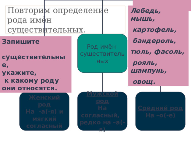 Лебедь, мышь,  картофель,  бандероль, тюль, фасоль,  рояль, шампунь,  овощ. Повторим определение рода имён существительных. Род имён существительных Запишите  существительные, укажите,  к какому роду они относятся. Женский род Средний род Мужской род На согласный,  На  -а(-я) и На –о(-е)  мягкий редко на –а(-я) согласный 