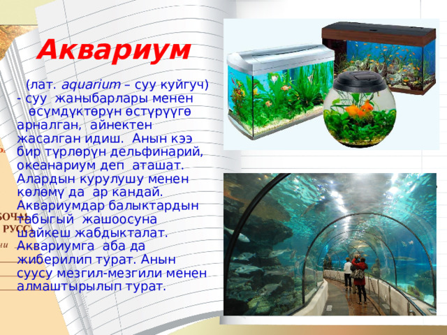 Аквариум    (лат.  aquarium  – суу куйгуч) - суу  жаныбарлары менен  өсүмдүктөрүн өстүрүүгө арналган, айнектен жасалган идиш. Анын кээ бир түрлөрүн дельфинарий, океанариум деп аташат. Алардын курулушу менен көлөмү да ар кандай. Аквариумдар балыктардын табыгый жашоосуна шайкеш жабдыкталат. Аквариумга аба да жиберилип турат. Анын суусу мезгил-мезгили менен алмаштырылып турат. 