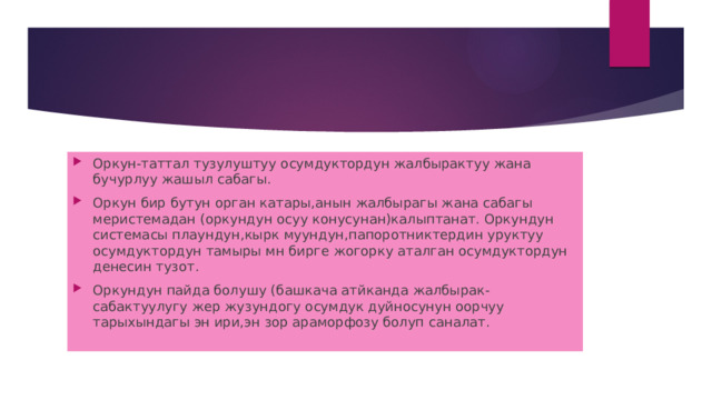 Оркун-таттал тузулуштуу осумдуктордун жалбырактуу жана бучурлуу жашыл сабагы. Оркун бир бутун орган катары,анын жалбырагы жана сабагы меристемадан (оркундун осуу конусунан)калыптанат. Оркундун системасы плаундун,кырк муундун,папоротниктердин уруктуу осумдуктордун тамыры мн бирге жогорку аталган осумдуктордун денесин тузот. Оркундун пайда болушу (башкача атйканда жалбырак-сабактуулугу жер жузундогу осумдук дуйносунун оорчуу тарыхындагы эн ири,эн зор араморфозу болуп саналат. 