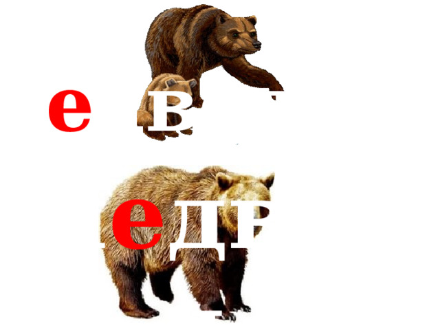 м е дведица м е дведь 