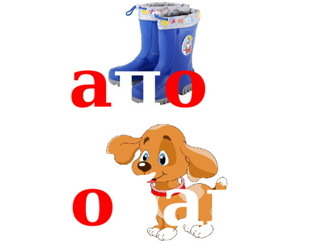 с а п о ги с о бака 