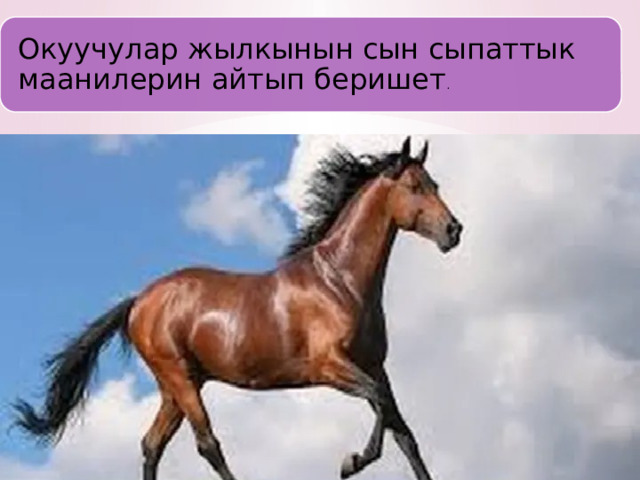 Окуучулар жылкынын сын сыпаттык маанилерин айтып беришет . 