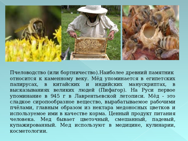 Пчеловодство (или бортничество).Наиболее древний памятник относится к каменному веку. Мёд упоминается в египетских папирусах, в китайских и индийских манускриптах, в высказываниях великих людей (Пифагор). На Руси первое упоминание в 945 г в Лаврентьевской летописи. Мёд - это сладкое сиропообразное вещество, вырабатываемое рабочими пчёлами, главным образом из нектара медоносных цветков и используемое ими в качестве корма. Ценный продукт питания человека. Мед бывает цветочный, смешанный, падевый, купажированный. Мед используют в медицине, кулинарии, косметологии.    