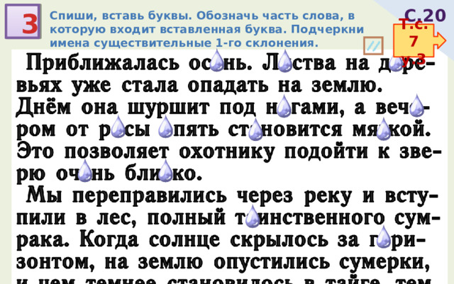 С.20 3 Спиши, вставь буквы. Обозначь часть слова, в которую входит вставленная буква. Подчеркни имена существительные 1-го склонения. Т.с.7 у.3 