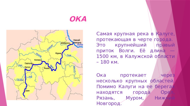  ОКА Самая крупная река в Калуге, протекающая в черте города. Это крупнейший правый приток Волги. Её длина — 1500 км, в Калужской области – 180 км.  Ока протекает через несколько крупных областей. Помимо Калуги на ее берегах находятся города Орел, Рязань, Муром, Нижний Новгород.   