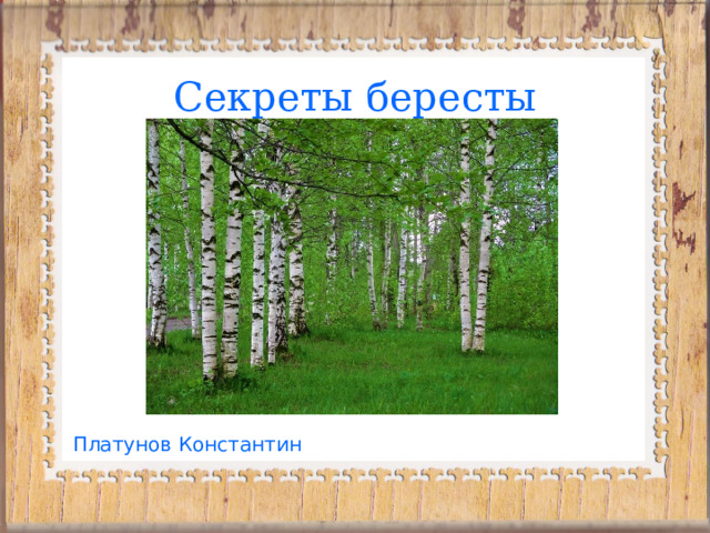 Секреты бересты  Платунов Константин 