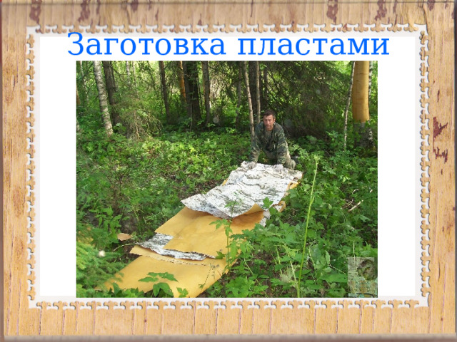 Заготовка пластами 