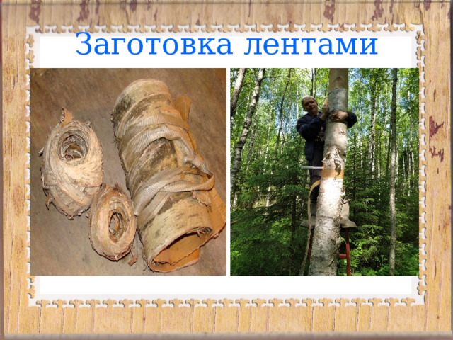 Заготовка лентами 